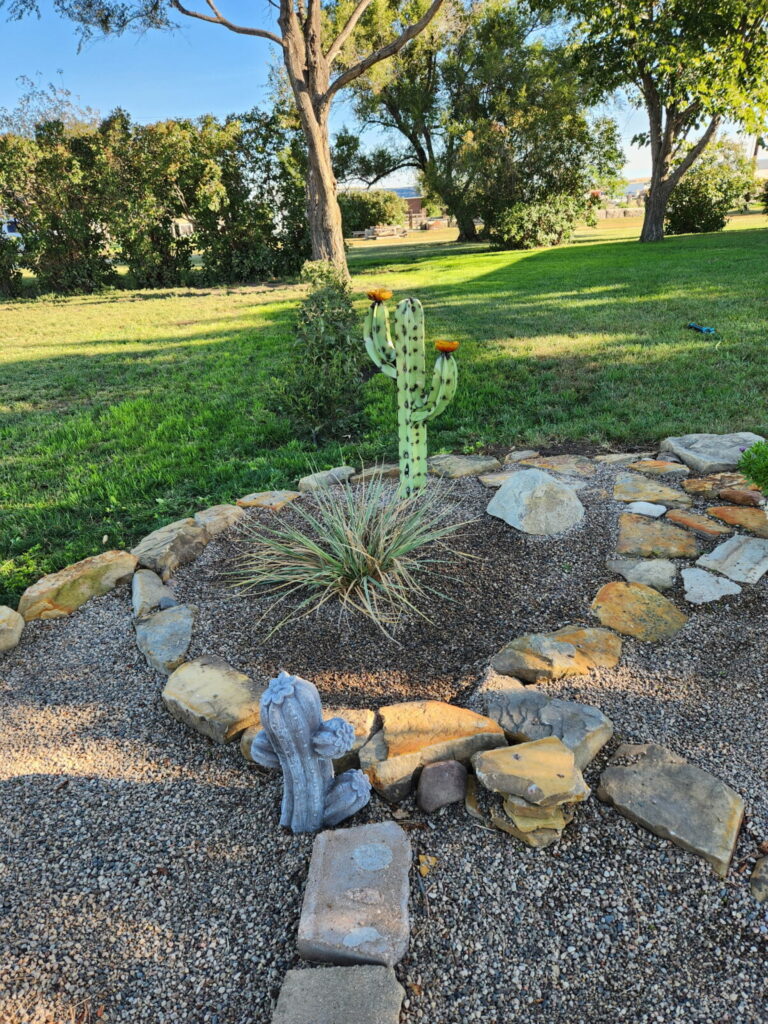 Cactus and rock landscaping with a metal saguaro at the Lazy A Ranch near Mobridge, South Dakota