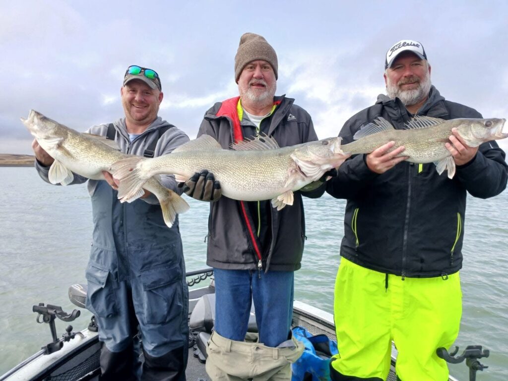 Guided clients holding a big Lake Oahe walleye