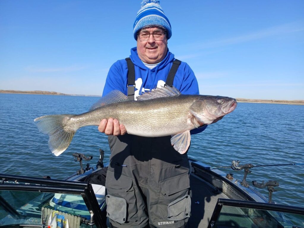 Guided client holding a trophy walleye on Lake Oahe